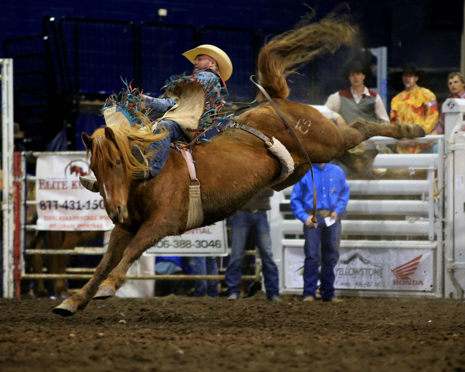 MSU Rodeo - Western's Hansen